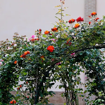 Lantgård Argaland Parma