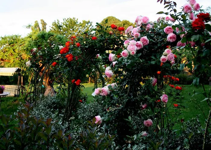 Argaland Lantgård Parma