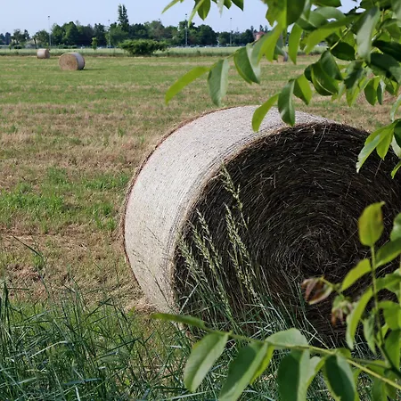 Argaland Gospodarstwo agroturystyczne