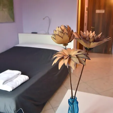 农家乐 阿加兰德农家乐 *