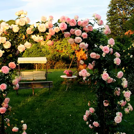 阿加兰德农家乐