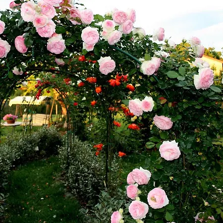 Alloggio per agriturismo Argaland Parma