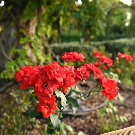 阿加兰德农家乐 农家乐 帕爾馬