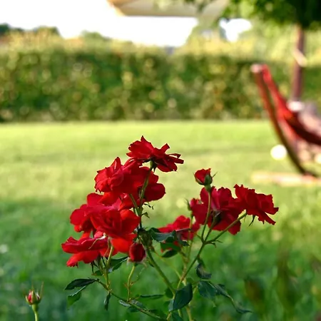 Argaland مزرعة للإقامة *