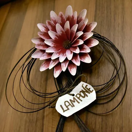 مزرعة للإقامة Argaland بارما