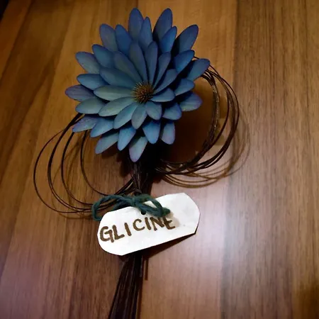 阿加兰德农家乐