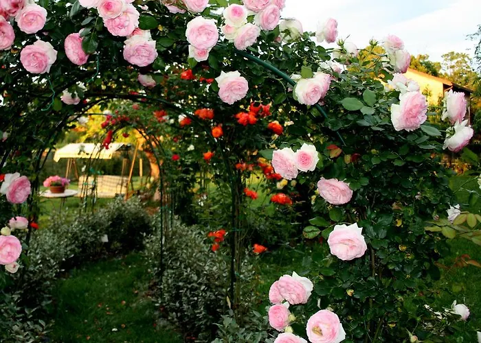 Séjour à la ferme Argaland Parme