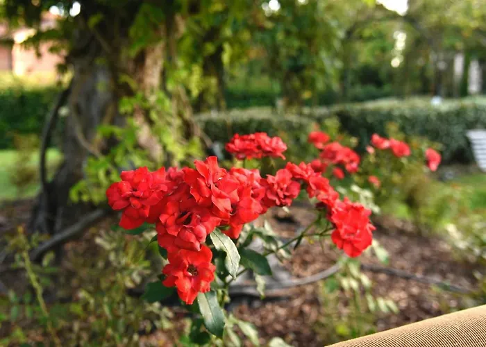 Argaland Séjour à la ferme Parme