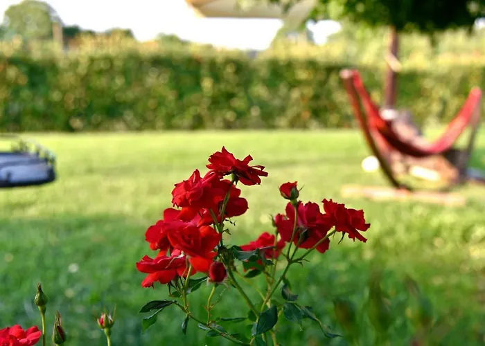Argaland Séjour à la ferme *